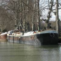 11048645_1127542943928248_7522722604564757374_o